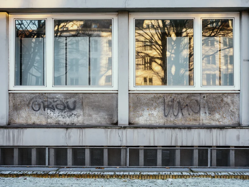 Window with tree shadows reflecting and graffiti on the wall below.