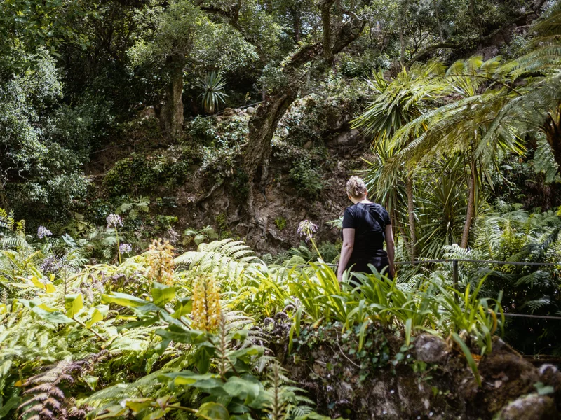 Person standing in a lush, green garden with tall trees and various plants.