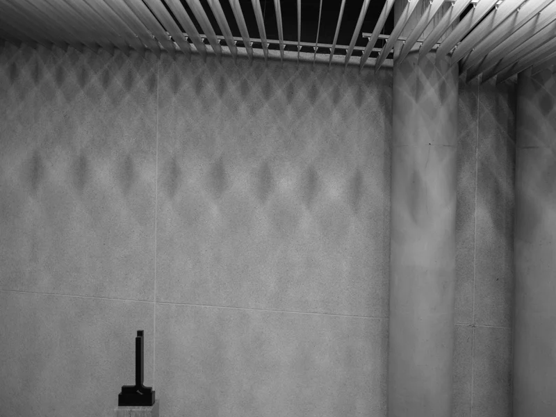 Monochrome image of architectural elements with a textured wall, vertical columns, and horizontal ceiling slats.