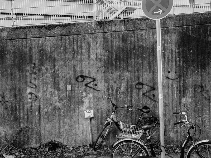 Two bicycles parked against a graffiti-covered concrete wall beneath a no parking sign.