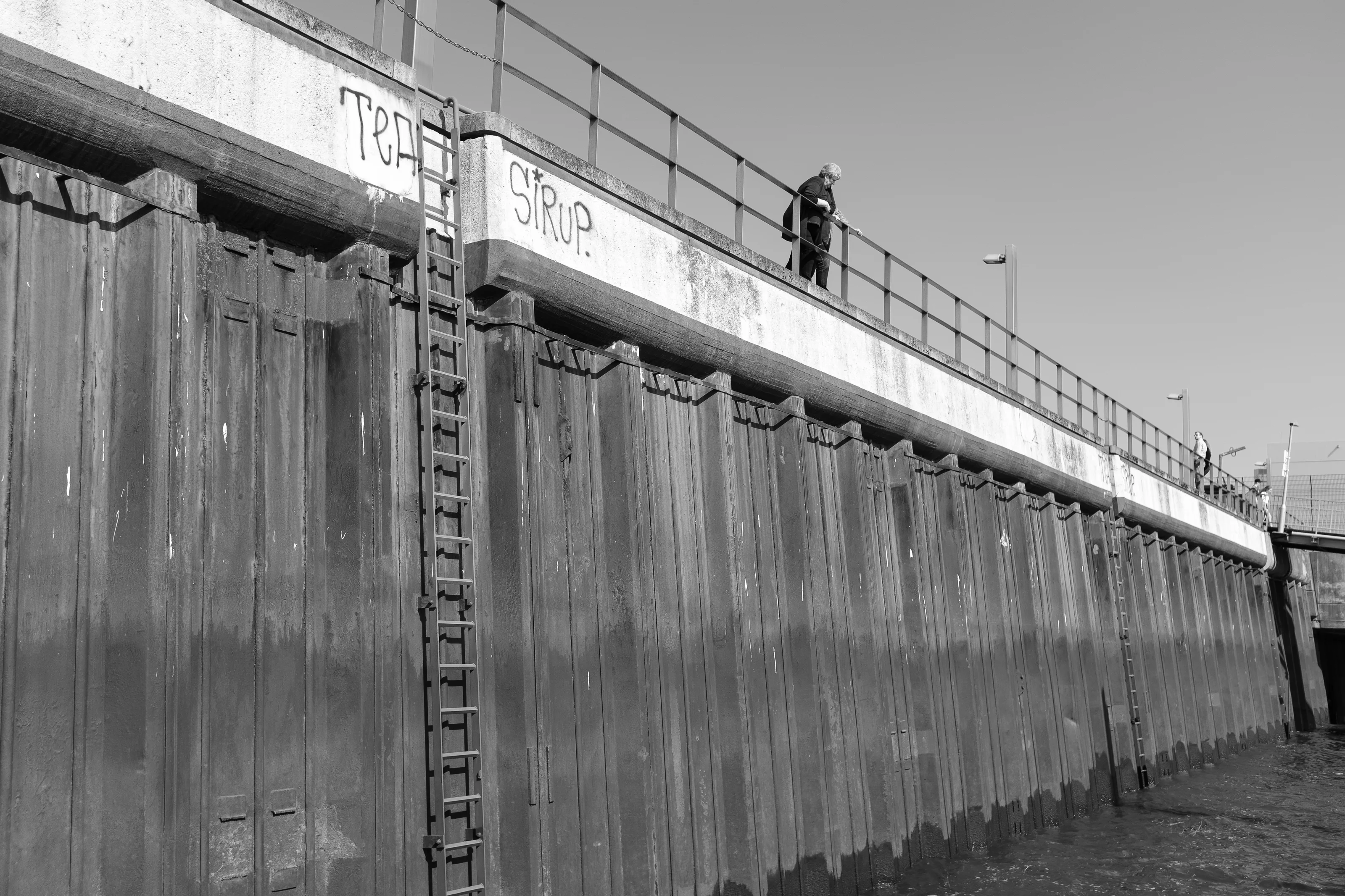 A person standing on a pier above a tall wooden wall with a ladder in a black and white photo.