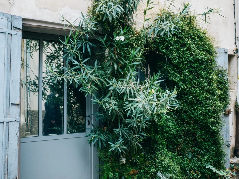 Front of a building with blue shutters and a window surrounded by lush green foliage.