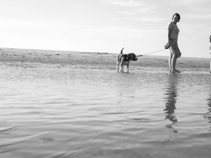 Two people walking a dog along a sandy beach.