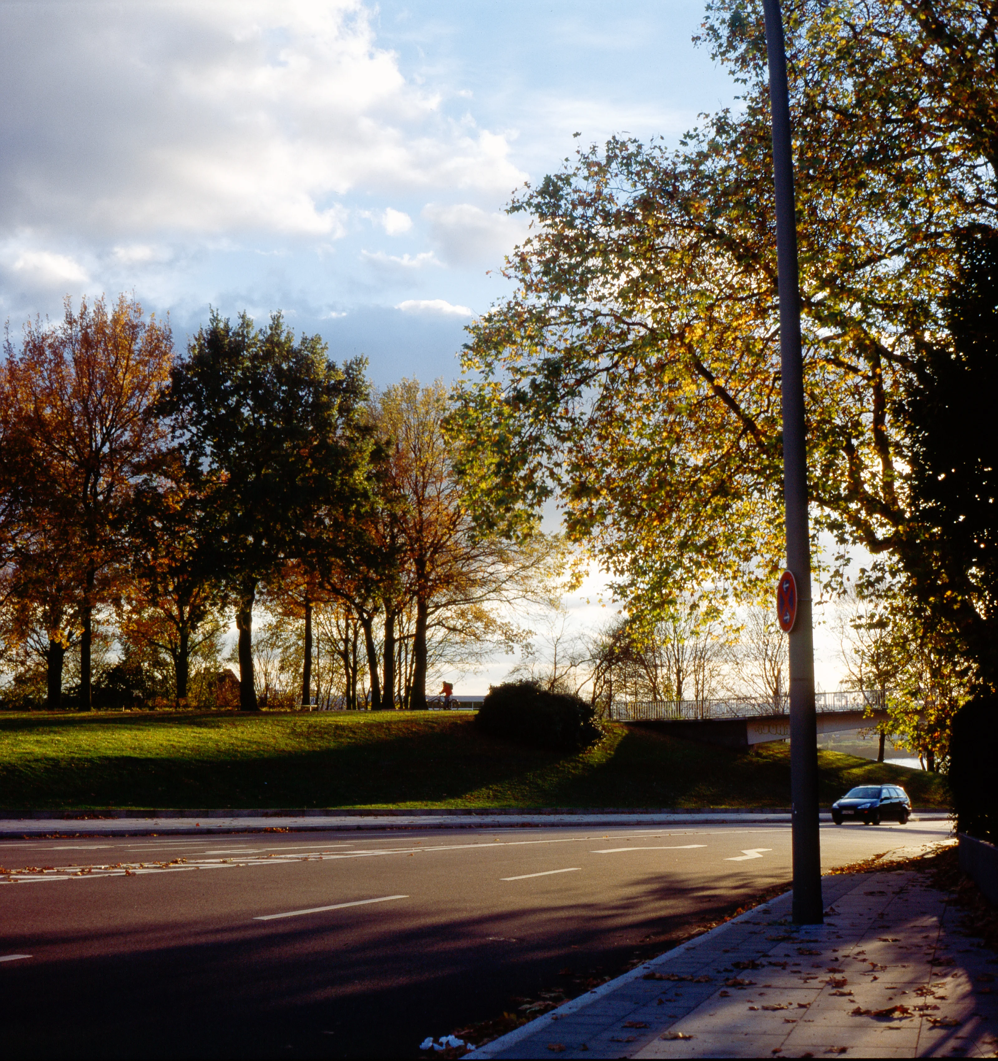A tree-lined street with autumn foliage and shadows under a cloudy sky.