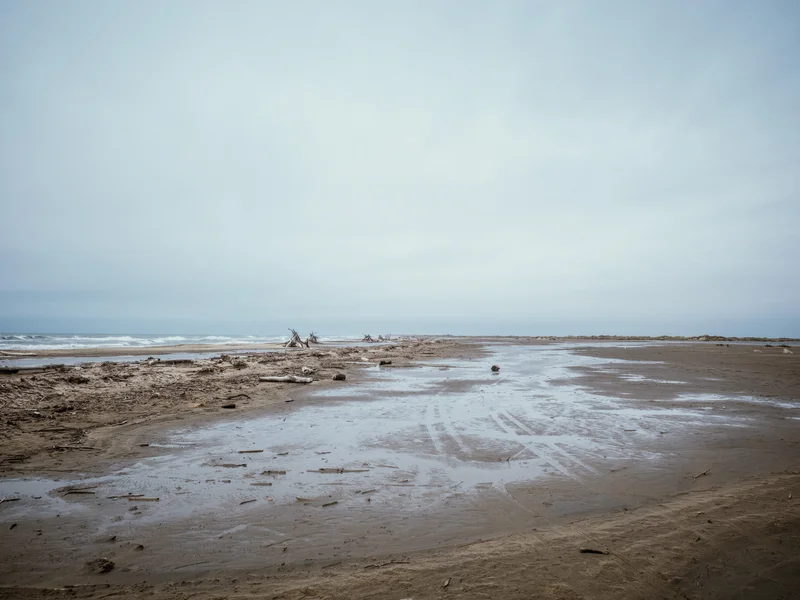 A deserted, wet sandy beach with driftwood scattered along the shoreline under a cloudy sky.
