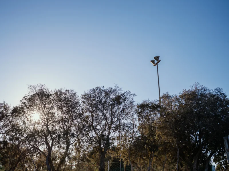 Trees silhouetted against a bright sky with the sun peeking through and a tall light pole on the right.