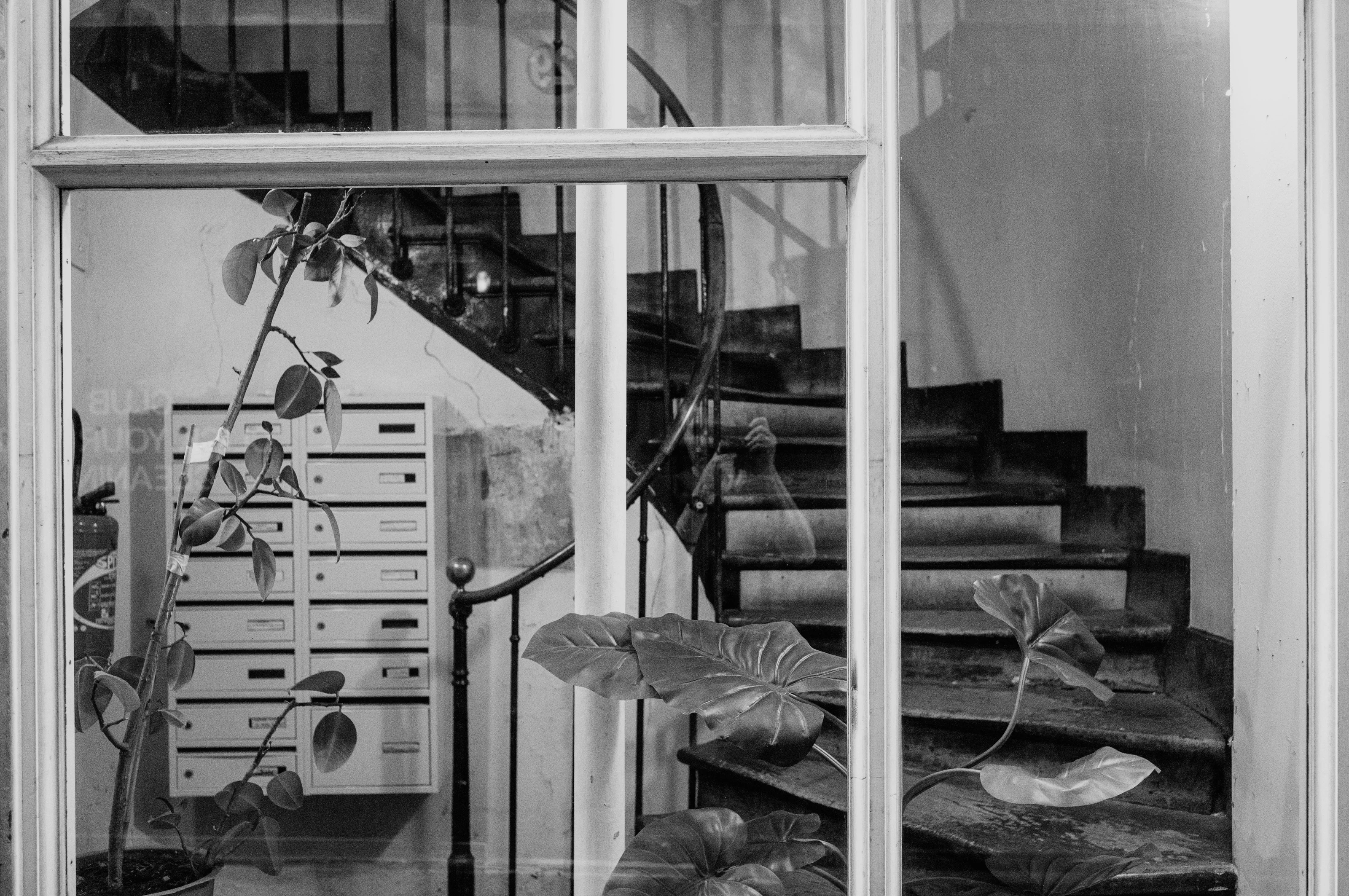 A black and white image of a spiral staircase behind a window with a potted plant and mailboxes.